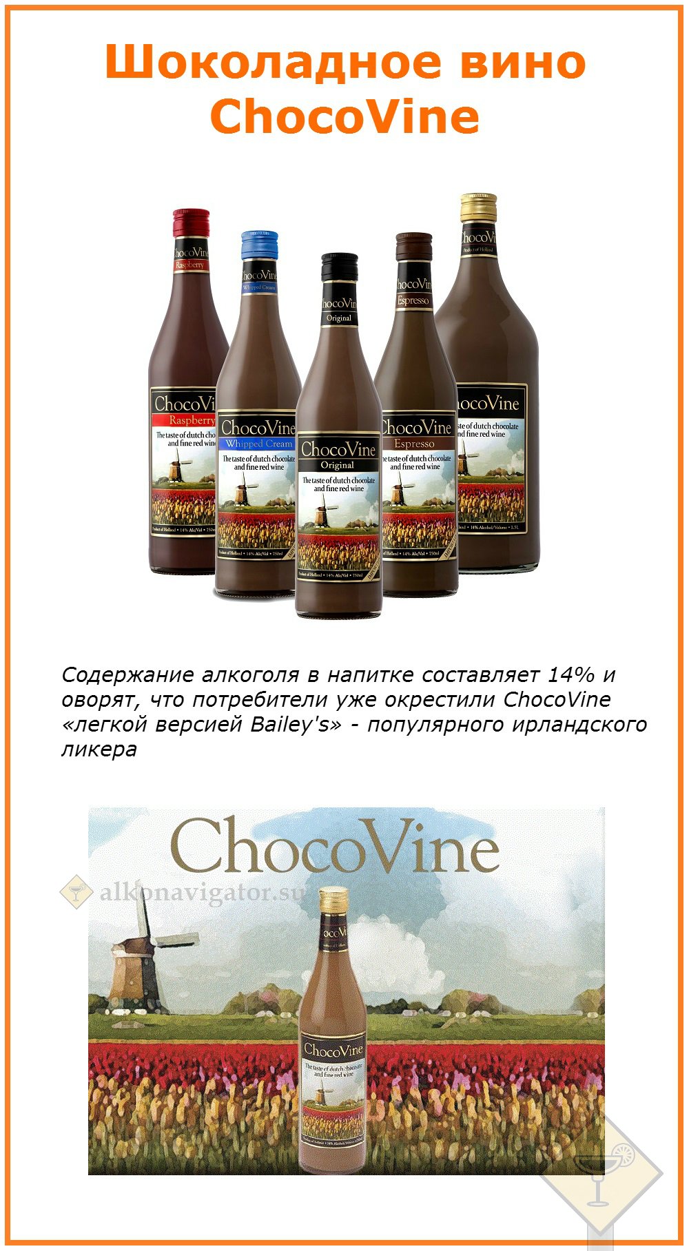 Шоколадное вино ChocoVine